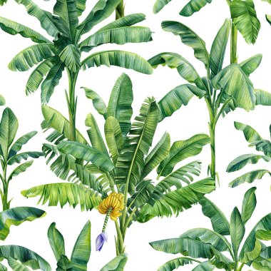 Tropik vintage palmiye ağaçları, muz ağacı çiçekli, dikişsiz egzotik botanik orman duvar kağıdı. El çizimi resim. Yüksek kaliteli illüstrasyon