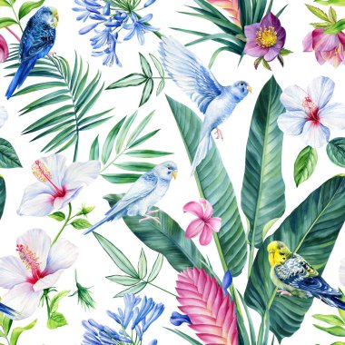 Çiçeksiz desen, duvar kağıdı ormanı tropik palmiye ağaçları ve tropikal kuşlar. Yüksek kaliteli illüstrasyon