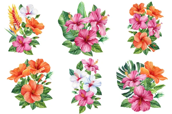 Пальмове Листя Тропічні Квіти Акварельні Ілюстрації Букет Монстром Листком Гібіскусом — стокове фото