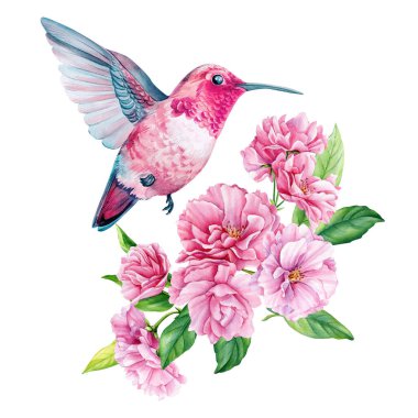 birds on flowering branch, sakura flowers, spring watercolor illustration, hand drawn. High quality illustration