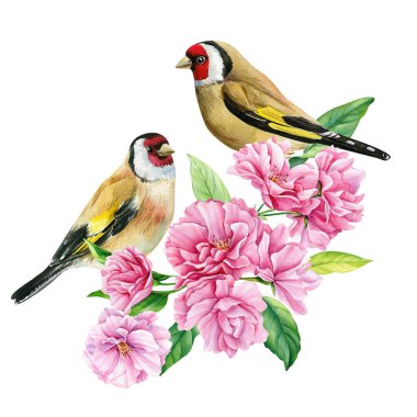 birds on flowering branch, sakura flowers, spring watercolor illustration, hand drawn. High quality illustration