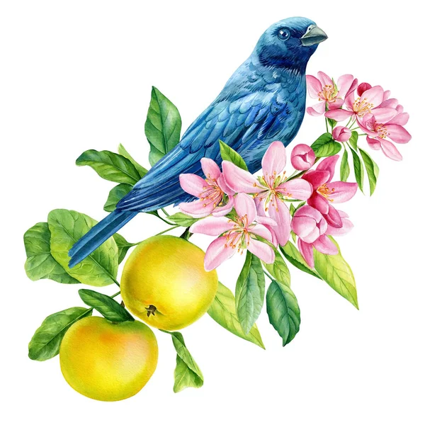 Птицы Цветущей Ветке Цветы Сакуры Весенняя Акварельная Иллюстрация Ручная Работа — стоковое фото