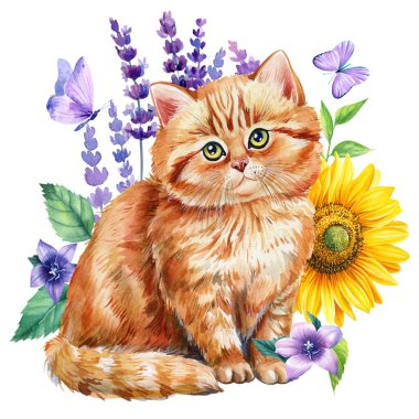Watercolor cute ginger kitten and lavender flowers, sunflower, butterflies on a white background, animal, floral postcard. High quality illustration