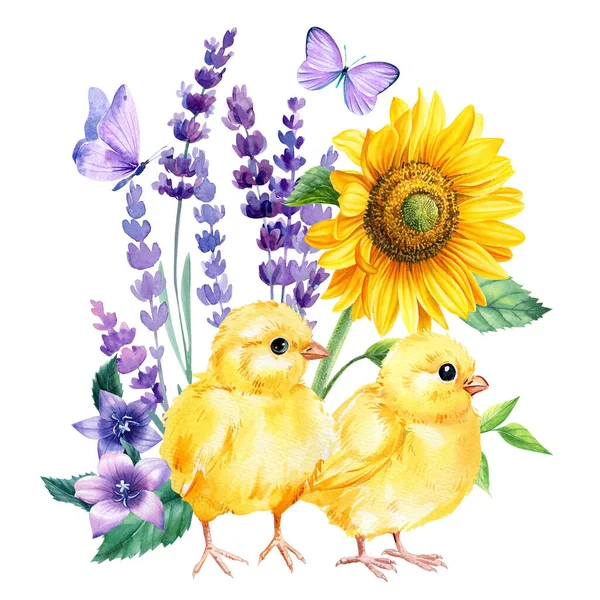 Watercolor cute chicken and lavender flowers, sunflower, roses and butterflies on a white background, floral postcard. High quality illustration