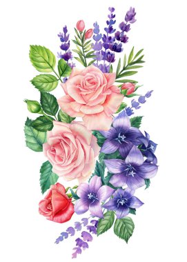 Watercolor flora. Lavender flowers, roses, bellflowers and leaves on a white background, floral postcard. botanical art. High quality illustration