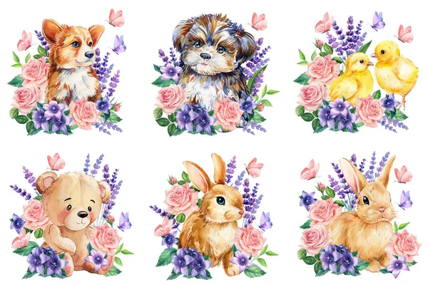 Watercolor cute bunny, kitten, chicken, puppy and flowers, butterflies on a white background, floral postcard animal. High quality illustration