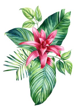 Exotic flowers card. Orchid, hibiscus, palm leaf isolated on white background. Botanical painting, watercolor flora. High quality illustration clipart