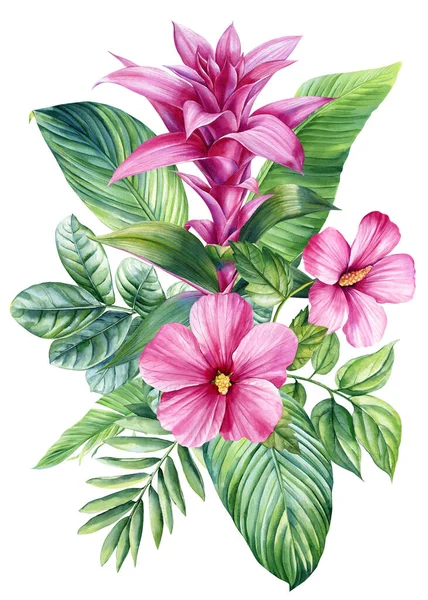 Karta Exotických Květin Orchidej Ibišek Palmový List Izolovaný Bílém Pozadí — Stock fotografie