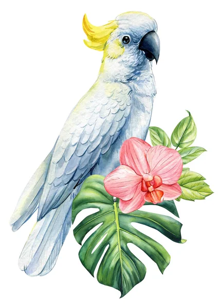 Cockatoo Παπαγάλος Όμορφα Τροπικά Λουλούδια Πουλιών Και Παλάμη Φύλλο Ακουαρέλα — Φωτογραφία Αρχείου