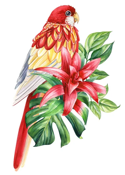 美丽的热带鸟水彩画手绘 蔷薇鹦鹉 花朵和棕榈叶在孤立的白色背景 高质量的例证 — 图库照片