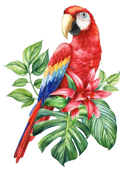 Vacker Tropisk Fågel Akvarell Illustration Hand Ritning Papegoja Blommor Och — Stockfoto