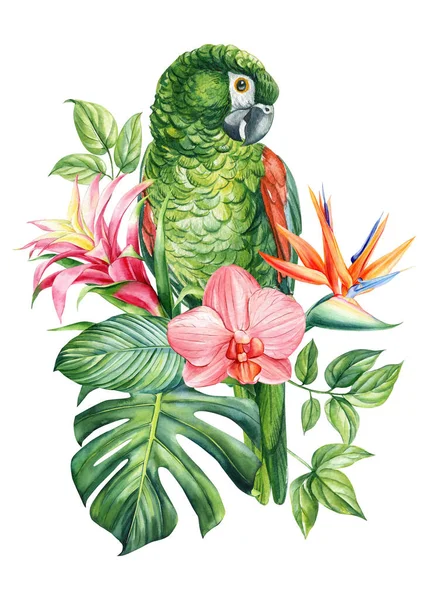 美しい熱帯鳥の水彩画のイラストハンドドローイング オウム 花やヤシの葉は 隔離された白い背景で 高品質のイラスト — ストック写真