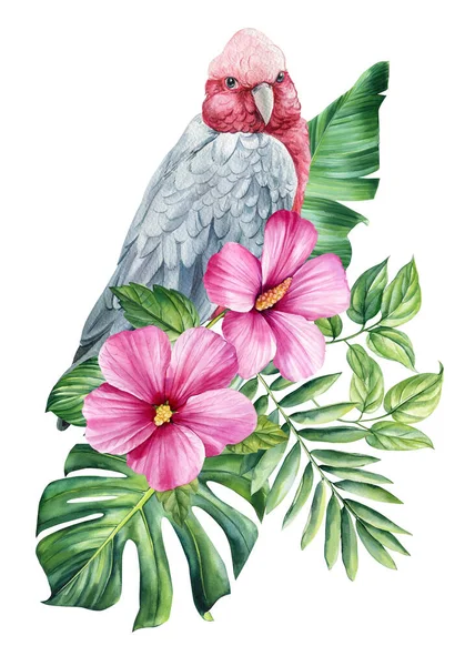Piękny Tropikalny Ptak Akwarela Ilustracja Ręka Rysunek Papuga Kwiaty Liście — Zdjęcie stockowe