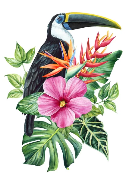 Piękny Tropikalny Ptak Akwarela Ilustracja Ręka Rysunek Papuga Kwiaty Liście — Zdjęcie stockowe