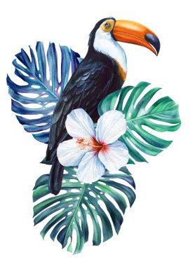 Güzel tropikal kuş suluboya el çizimi, papağan, çiçekler ve izole beyaz arka planda palmiye yaprağı. Yüksek kaliteli illüstrasyon