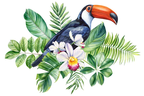 Güzel Tropikal Kuş Suluboya Çizimi Papağan Çiçekler Izole Beyaz Arka — Stok fotoğraf