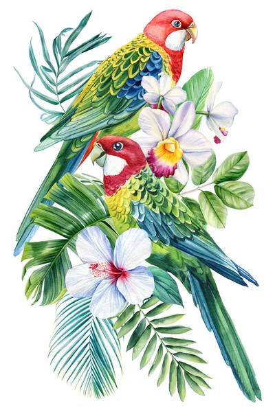 热带两鸟水彩画 萝丝拉鹦鹉兰花 棕榈叶手绘 高质量的例证 — 图库照片