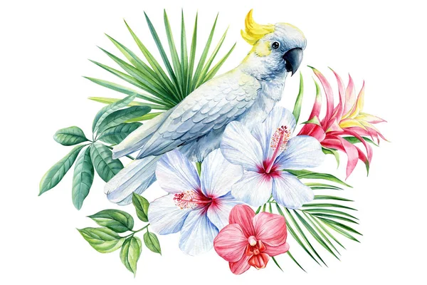 Belle Illustration Aquarelle Oiseau Tropical Dessin Main Perroquet Fleurs Feuilles — Photo