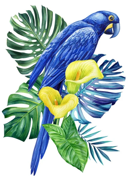 Akvarell Kék Papagáj Arapagáj Virágok Pálmalevél Elszigetelt Fehér Háttérrel Trópusi — Stock Fotó