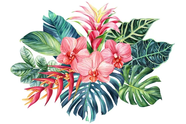 Exotische Blumen Karte Orchidee Hibiskus Palmblatt Isoliert Auf Weißem Hintergrund — Stockfoto