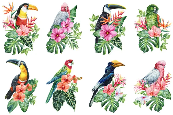 stock image Beautiful tropical bird watercolor illustration hand drawing, parrot, flowers and palm leaf in isolated white background. High quality illustration