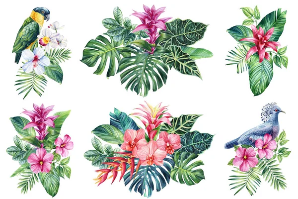 Güzel Tropikal Kuş Çiçekler Palmiye Yaprağı Izole Beyaz Arka Plan — Stok fotoğraf