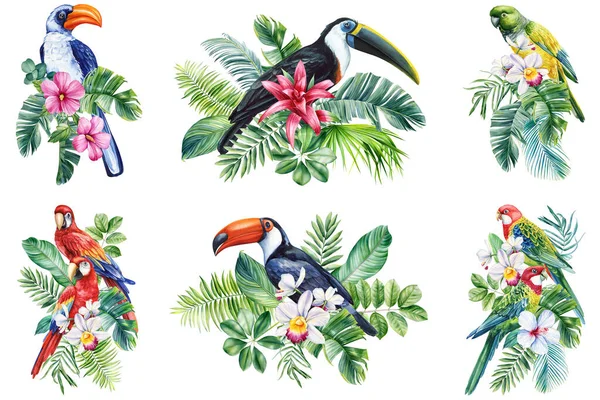 Hermoso Pájaro Tropical Acuarela Ilustración Dibujo Mano Loro Flores Hoja — Foto de Stock
