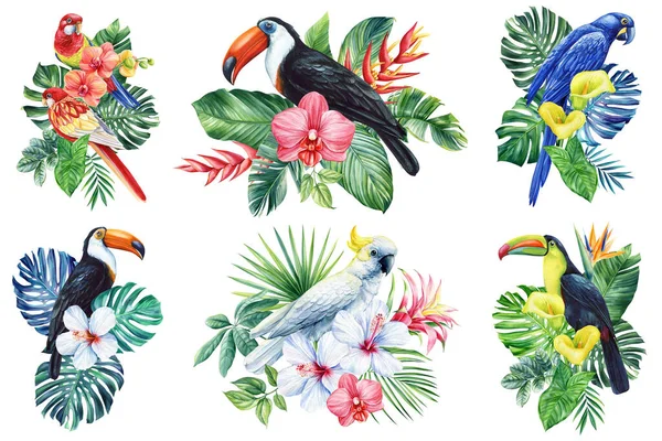 Vacker Tropisk Fågel Akvarell Illustration Hand Ritning Papegoja Blommor Och — Stockfoto