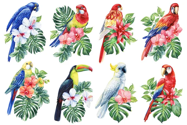 Schöne Tropische Vogel Aquarell Illustration Handzeichnung Papagei Blumen Und Palmblatt — Stockfoto