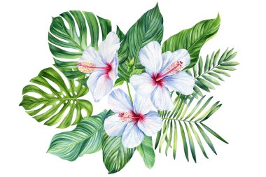 Palmiye yaprağı, arka planda amber çiçeği, elle çizilmiş suluboya resim. Tropik tebrik kartı, Clipart. Yüksek kaliteli illüstrasyon