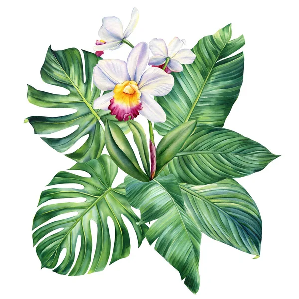Pálmalevél Orchidea Virág Elszigetelt Háttérrel Kézzel Rajzolt Akvarellfestés Zöld Trópusi — Stock Fotó