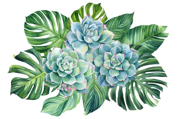 Palmový List Květina Izolovaném Pozadí Ručně Kreslený Akvarel Zelené Tropické — Stock fotografie