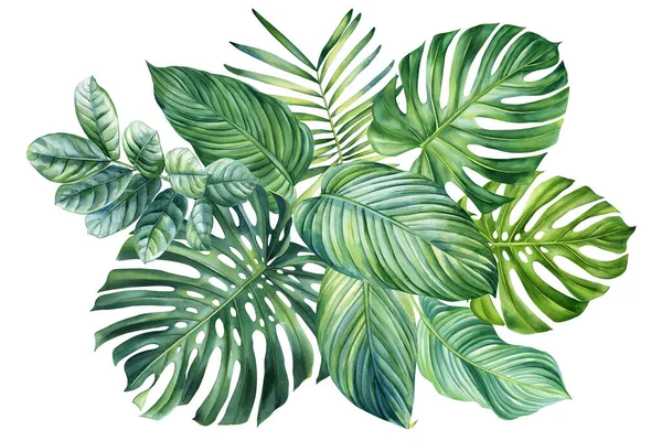 棕榈叶在孤立的背景上 手绘水彩画 热带绿色构图 热带海报 高质量的例证 — 图库照片