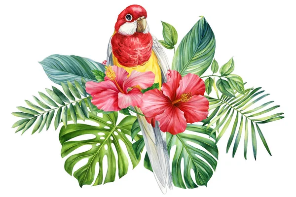 Pájaro Acuarela Ilustración Dibujo Mano Loro Hojas Tropicales Flores Fondo — Foto de Stock