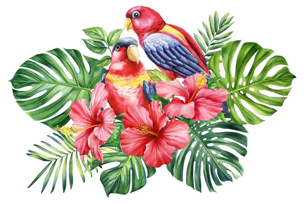 Vontatás Madár Akvarell Illusztráció Kézi Rajz Papagáj Trópusi Levelek Virágok — Stock Fotó