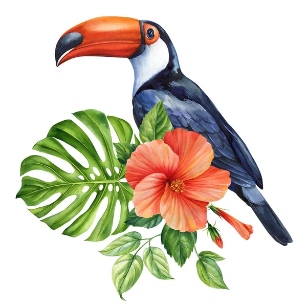 美丽的热带鸟在孤立的白色背景中触摸 花朵和叶子 水彩画手绘 是的高质量的例证 — 图库照片
