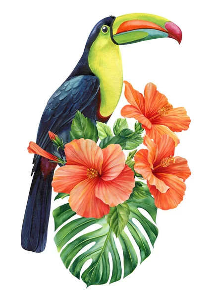 美丽的热带鸟触觉 色彩斑斓的花朵和叶子 孤立的白色背景 水彩画手绘画 是的高质量的例证 — 图库照片