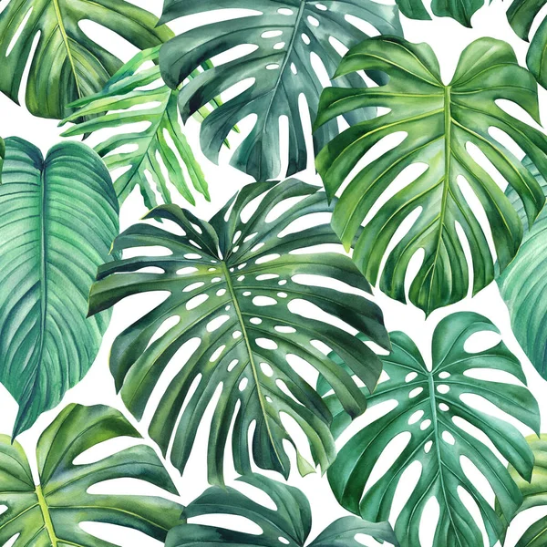 Тропічні Пальмові Листя Листя Монстрів Безшовний Візерунок Фон Зелені Кольори — стокове фото