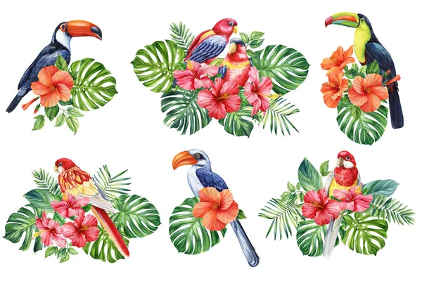 stock image Beautiful tropical bird watercolor illustration hand drawing, parrot, flowers and palm leaf in isolated white background. High quality illustration