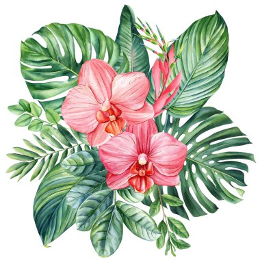 Renkli palmiye yaprakları, orkide çiçekleri. Tropik kompozisyon, elle çizilmiş suluboya botanik resim. Orman kartı. Yüksek kaliteli illüstrasyon