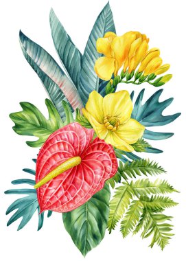 İzole edilmiş beyaz bir zemin üzerinde Freesia ve orkide çiçekleri suluboya el çizimi. Bahar sarısı flora. Yüksek kaliteli illüstrasyon