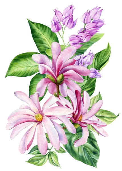 Kytice Květin Magnólie Akvarel Botanické Ilustrace Flóra Design Izolované Bílé — Stock fotografie