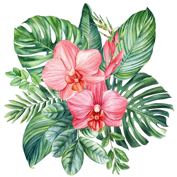 Kolorowe Liście Palmy Kwiaty Storczyka Kompozycja Tropikalna Ręcznie Rysowany Akwarelowy — Zdjęcie stockowe