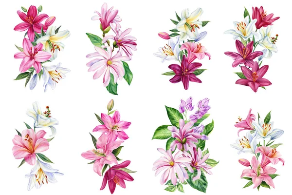 Conjunto Flores Magnólia Lírios Ilustração Botânica Aquarela Elementos Florais Isolado — Fotografia de Stock