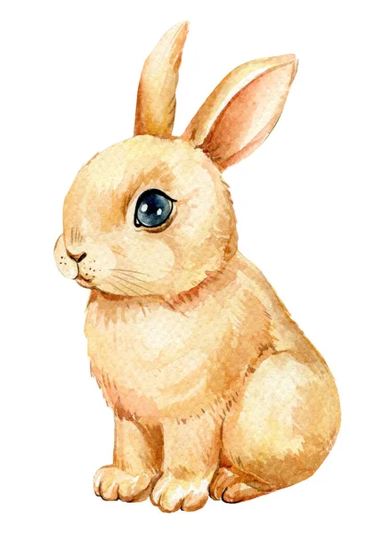 Щасливий Великодній Кролик Акварельний Набір Милий Пасхальний Кролик Ізольований Білий — стокове фото