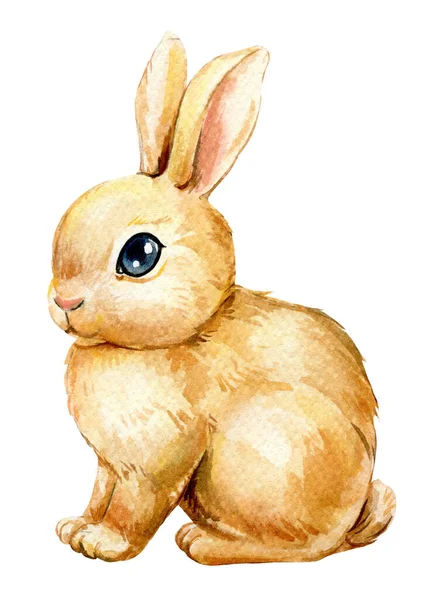 Glad Påsk Kanin Akvarell Set Med Söt Påsk Kanin Isolerad — Stockfoto