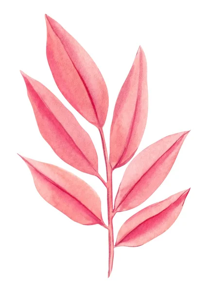Ställ Färgade Palmblad Isolerad Bakgrund Gröna Och Rosa Tropiska Blomsterinslag — Stockfoto