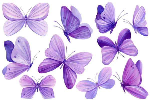 Conjunto Mariposas Púrpura Sobre Fondo Blanco Aislado Ilustración Acuarela Hermosa — Foto de Stock