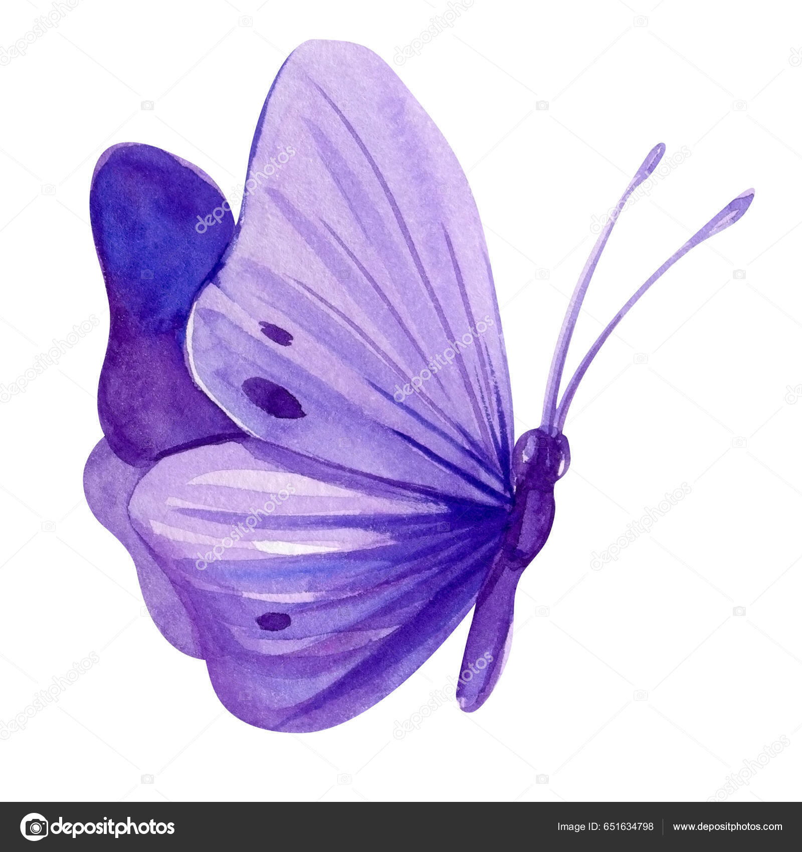 TITLE图库插图© 作者gringoann #651634798