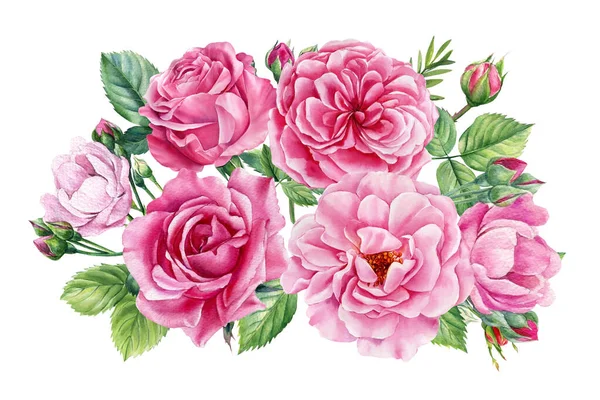 Set Rosa Rosa Bel Fiore Uno Sfondo Bianco Isolato Acquerello — Foto Stock